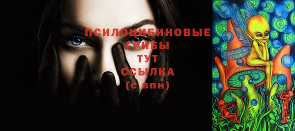 соль ск Новокубанск