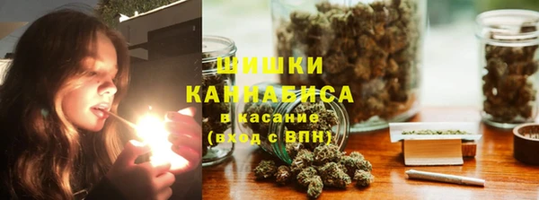 прущие грибы Новодвинск