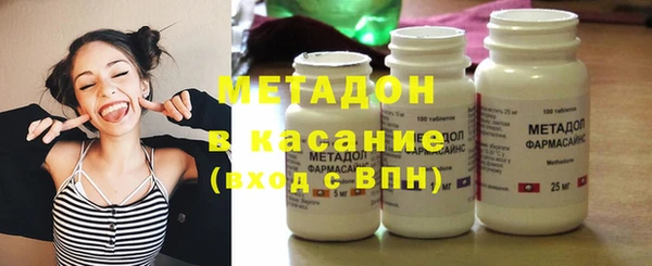 прущие грибы Новодвинск