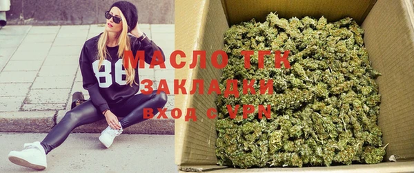 прущие грибы Новодвинск