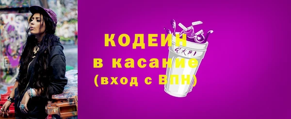 прущие грибы Новодвинск