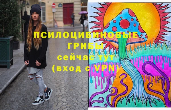 прущие грибы Новодвинск