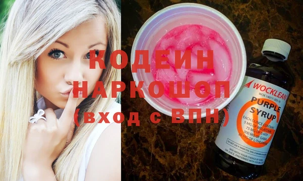 прущие грибы Новодвинск
