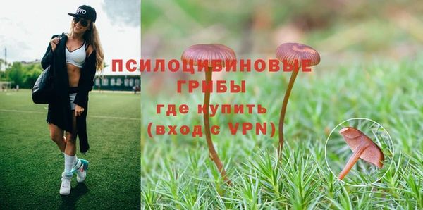 соль ск Новокубанск