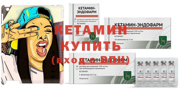 прущие грибы Новодвинск