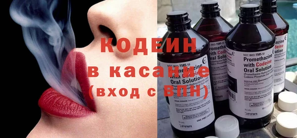 прущие грибы Новодвинск