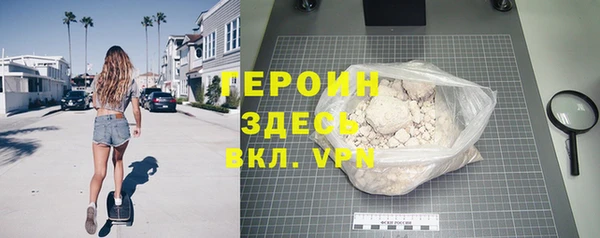 прущие грибы Новодвинск