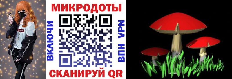 Галлюциногенные грибы MAGIC MUSHROOMS Электроугли
