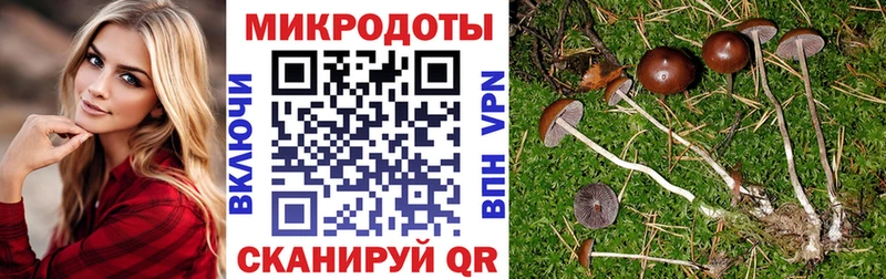 Галлюциногенные грибы прущие грибы  hydra ссылки  Электроугли 